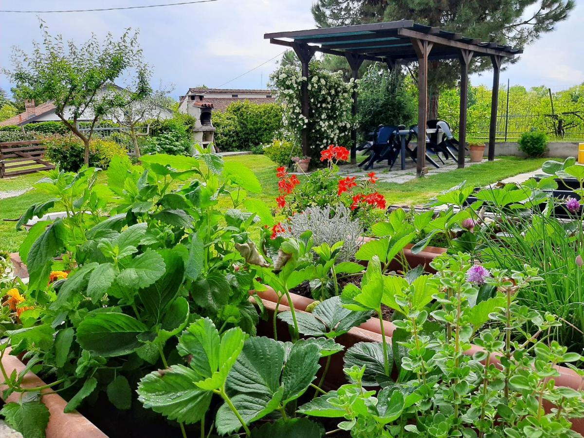 Cascina Teresina Monferrato Piscina Vila Cortazzone Exterior foto