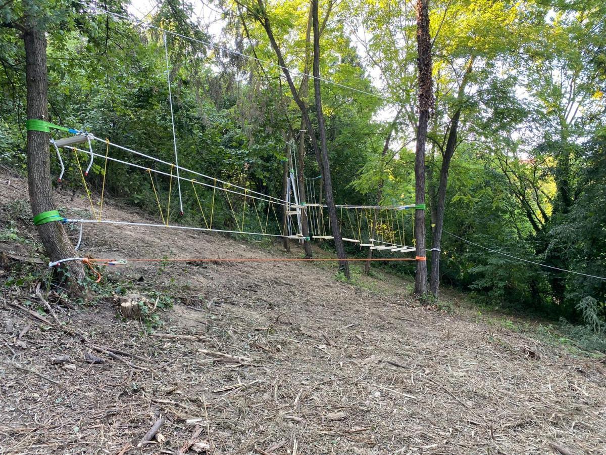 Cascina Teresina Monferrato Piscina Vila Cortazzone Exterior foto
