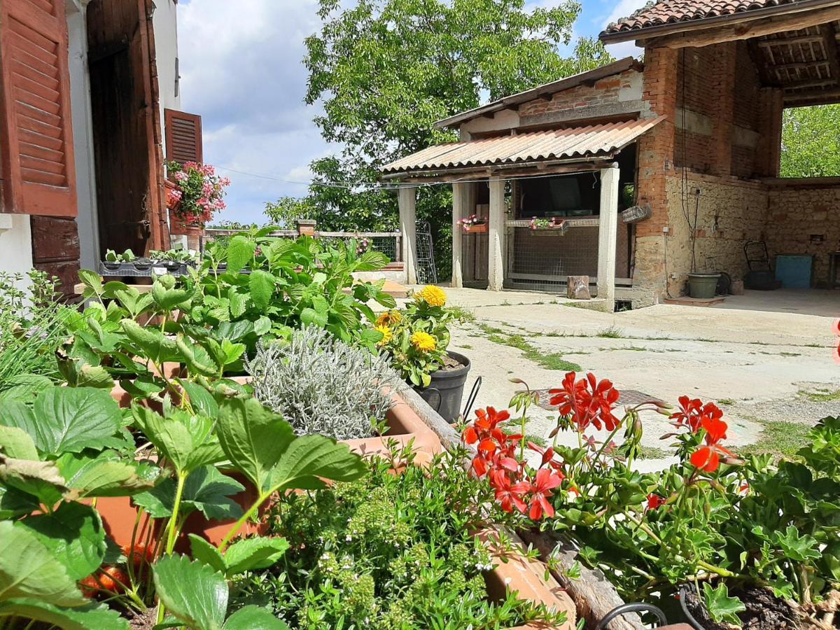 Cascina Teresina Monferrato Piscina Vila Cortazzone Exterior foto